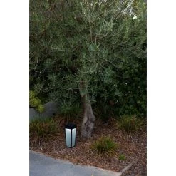 Lutec LED-Solar-Wegeleuchte Dias 1-flammig Mattschwarz 48,4 X 12,2 X 12,2 Cm -Lampe Geschäft 277195 3746 AB 03